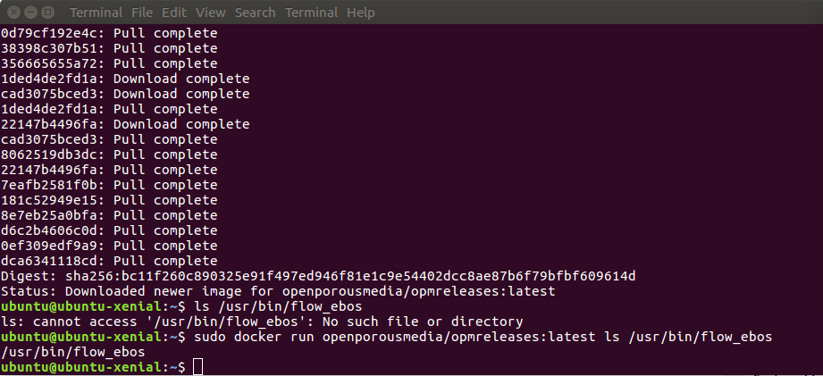 Capture d'écran d'un terminal éxecutant Docker